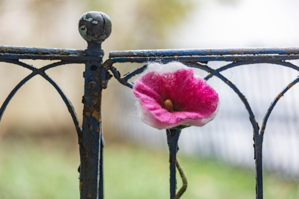 Filzblume vor Zaun